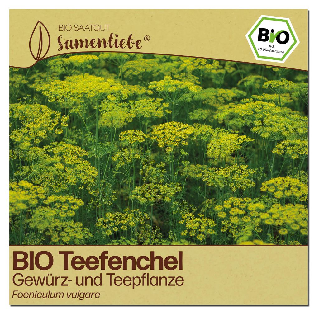 Samenliebe  Fenchel Samen | Teefenchel - winterhart & Produktbild 