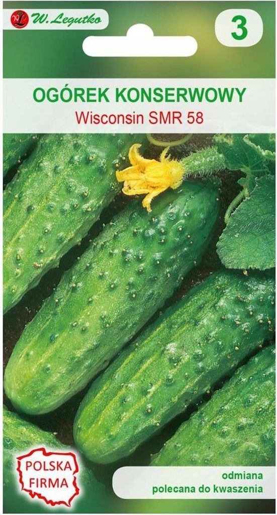 Wisconsin Gurkensamen, gemahlen, Dose, 5g