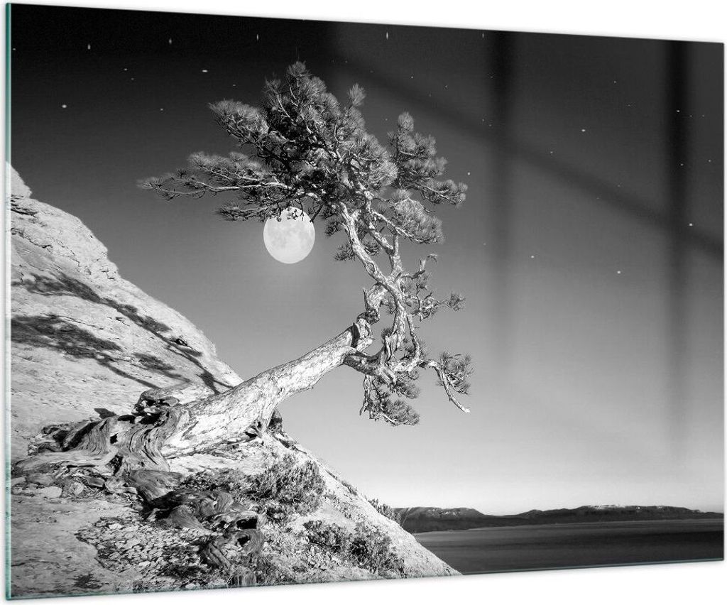 Bilder auf glas - Einteilig - Voll der Mond Baum - 100x70cm Produktbild 