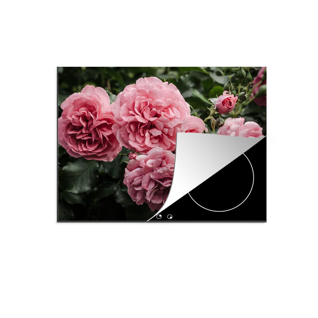 KitchenYeah Herdabdeckplatte Rosa - Blumen - Rosen , 77x59cm, Küche Deko, Glaskeramikkochfeld Herdabdeckung, Abdeckplatte fùr Kochfeld