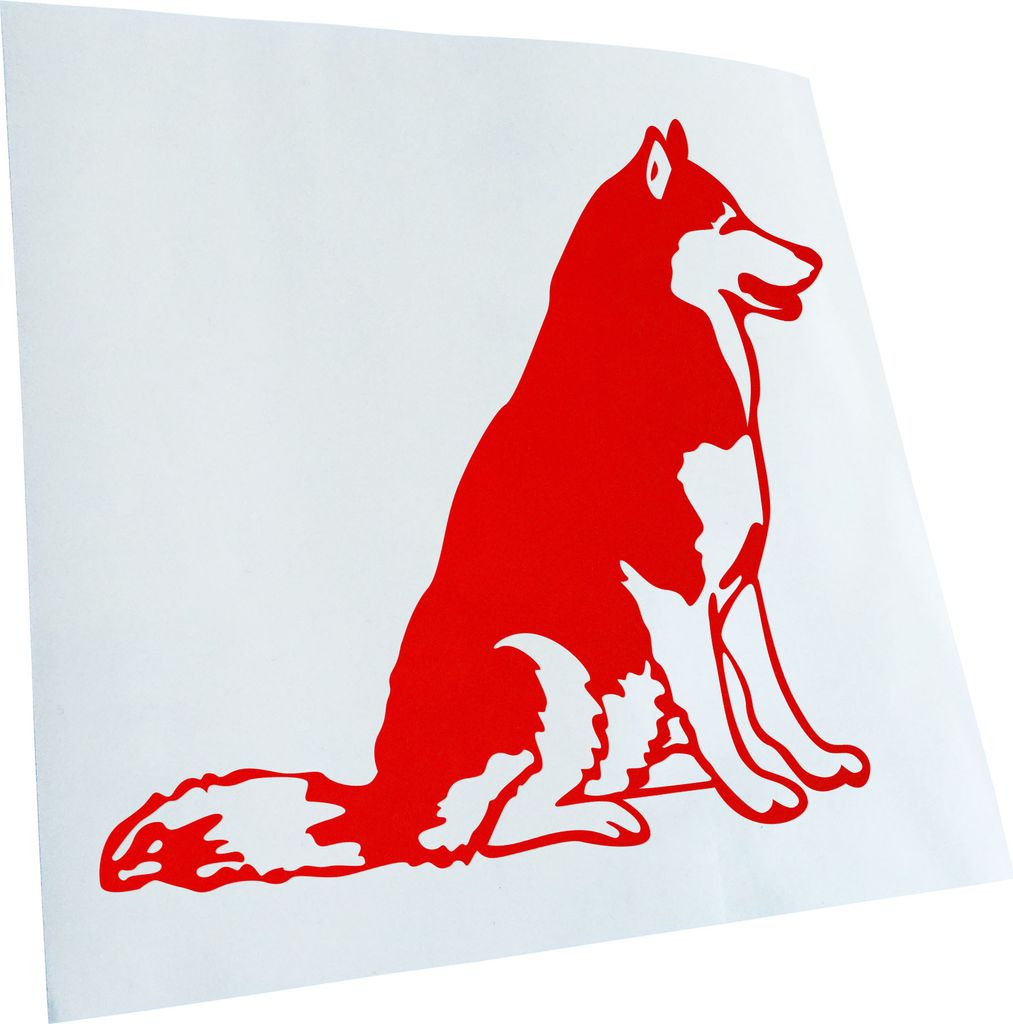 hauptsachebeklebt Kiwistar - Autoaufkleber - Husky - Alaska - Sibirien Heckscheibe - Aufkleber für Auto Kfz Fahrrad, LKW, Truck Mofa