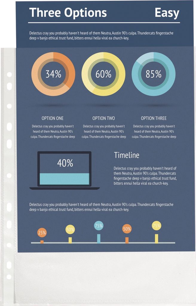Exacompta Prospekthüllen 59110E A4 PP Prem 100 St./Pack.