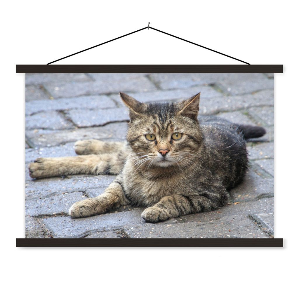 MuchoWow Textilposter Katze - Tier - Braun - Mädchen - Kinder - Jungen - Kind 150x100 cm mit schwarzem Rahmen - Schlafzimmer