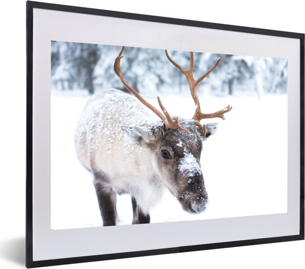 MuchoWow MuchoWow Gerahmtes Poster Hirsche - Rentiere - Schnee 60x40 cm - Poster mit zchwarzem Bilderrahmen - Schlafzimmer - Plakat in Rahmen -...