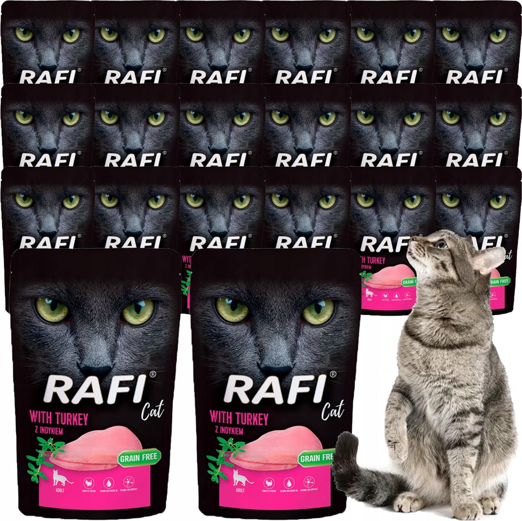 Rafi Indyk karma dla kota 100g Zdjęcie produktu 