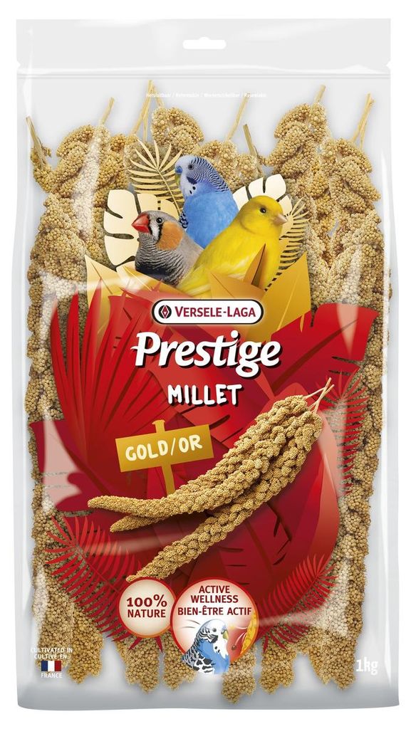 Proso rózgowe żółte 1 kg Zdjęcie produktu 