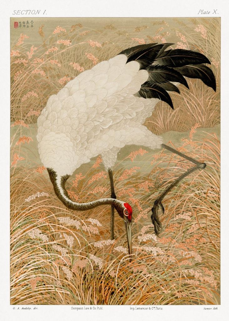 Plakat 50x70cm Kranich im Japanischen Stil, G.A. Audsley für das Wohnzimmer