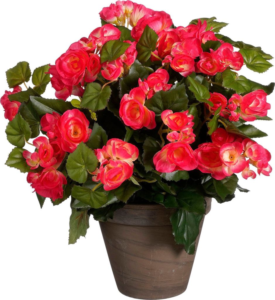 Mica Decorations Begonien Kunstpflanze im Blumentopf Stan - H37 x Ø36 cm - Dunkelrosa