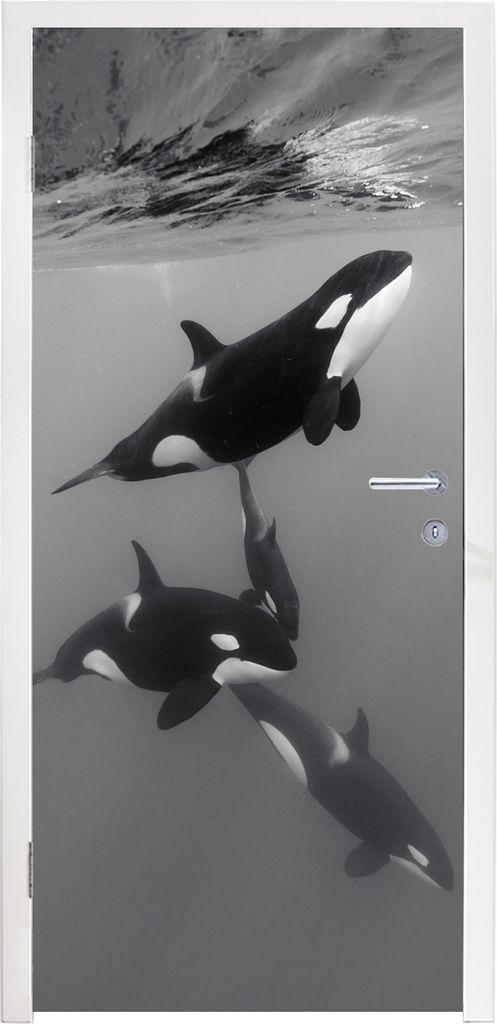 MuchoWow Türtapete Selbstklebende Türfolie Orca - Wasser - Schwarz - Weiß 80x205 cm Türposter Türaufkleber Klebefolie Türklebefolie - Fotot...