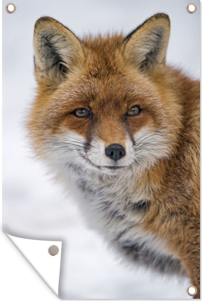 MuchoWow 60x90 cm Outdoor-Poster Gartendeko Sichtschutz Garten Poster für den Garten Fuchs - Porträt - Schnee