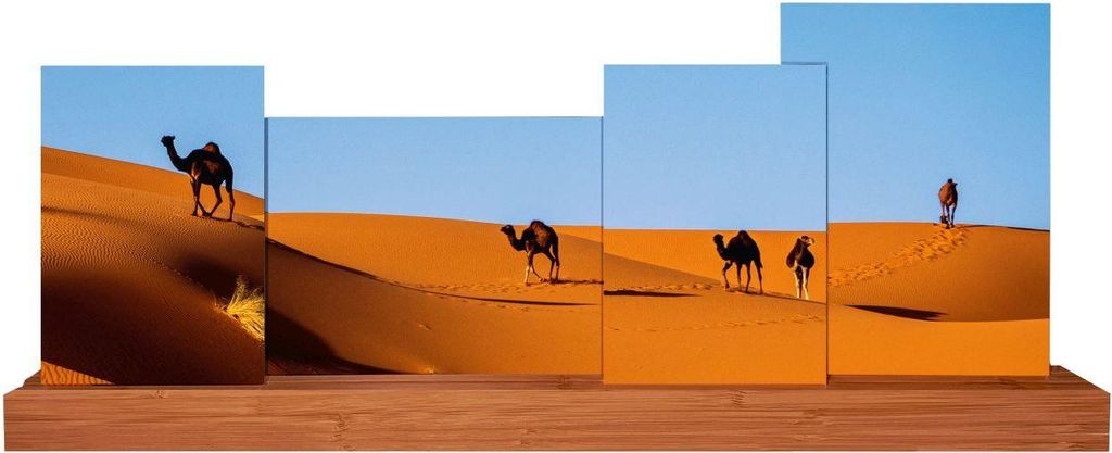 Goldbuch Fotogalerie Bamboo 4 Fotos 50x19,5 cm Natur