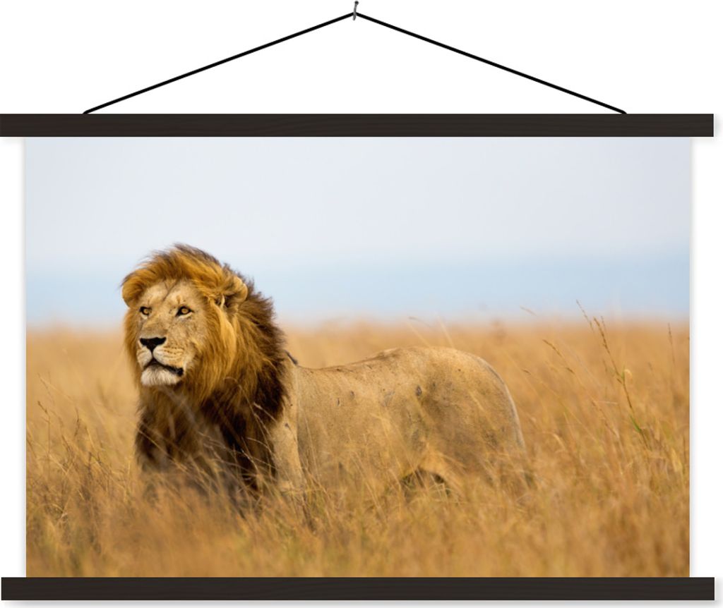 MuchoWow Textilposter Löwen - Gras - Afrika 90x60 cm mit schwarzem Rahmen - Aufhängungssatz
