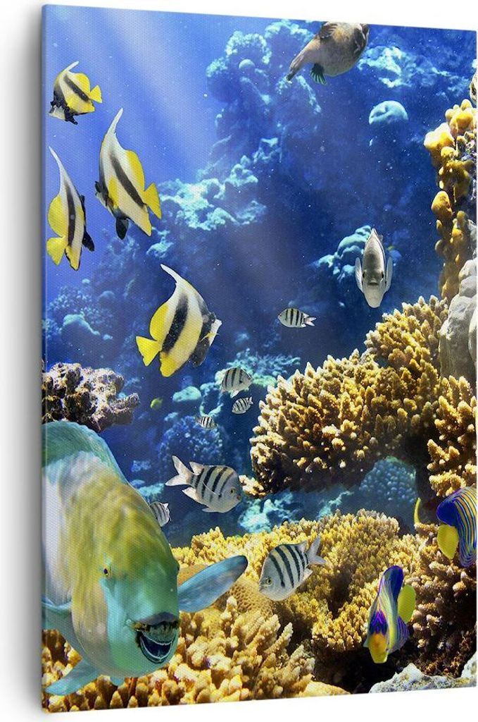 Bild auf Leinwand - Leinwandbild - Einteilig - Korallenriff Ozean Krabbe Fisch - 70x100cm - Wand Bild - Wandbilder - Leinwanddruck - Wanddekoration...