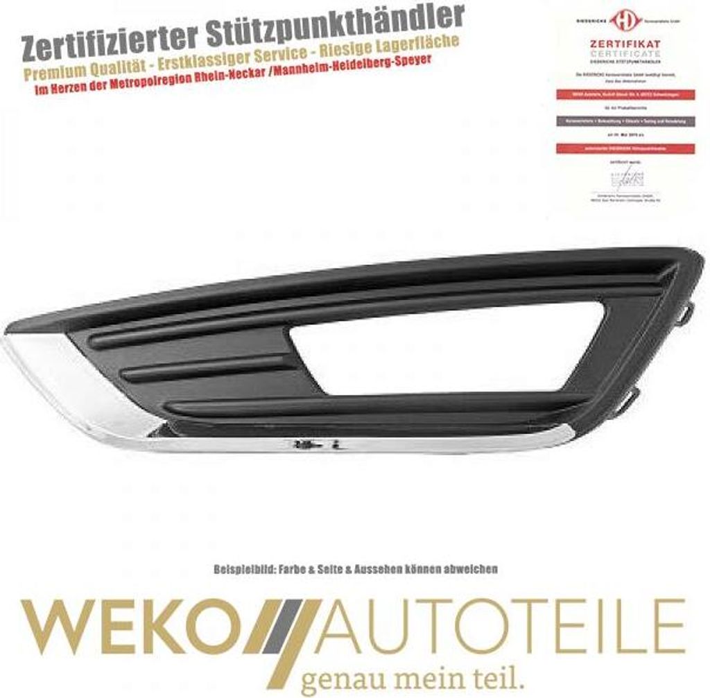 Lüftungsgitter Stoßstange links DIEDERICHS 1419149 für FORD