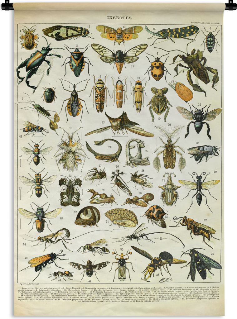MuchoWow Wandteppich Wandbehang Insekten - Tiere - Jahrgang 90x135 cm Tapisserie Dekoration Wandtuch - Baumwolle - Wandskulptur