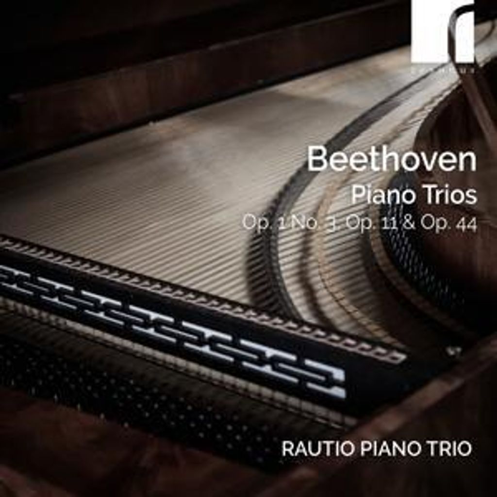 Rautio Piano Trio: Piano Trios Op. 1 No.3,Op. 11 & Op. 44