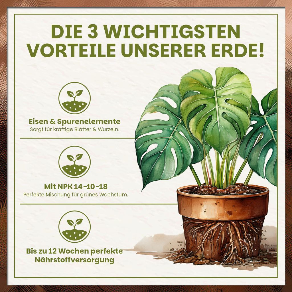 braucht liguster viel wasser Purgrün Liguster-Dünger 1 kg