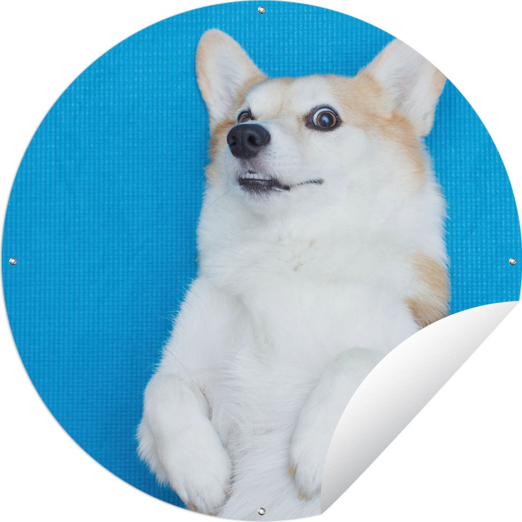 MuchoWow