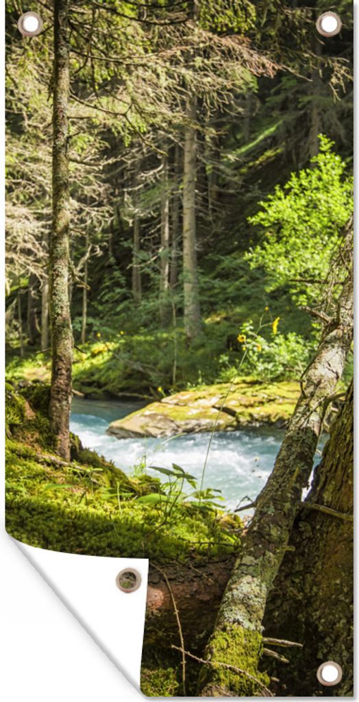 MuchoWow 30x60 cm Outdoor-Poster Gartendeko Sichtschutz Garten Poster für den Garten Flussbett in den Wäldern des Nationalparks Hohe Tauern