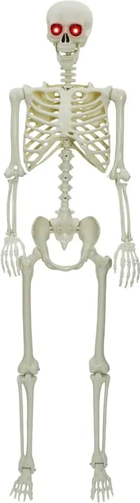 Grand Squelette Humain Articulé 155cm pour Décoration de Fête Horreur