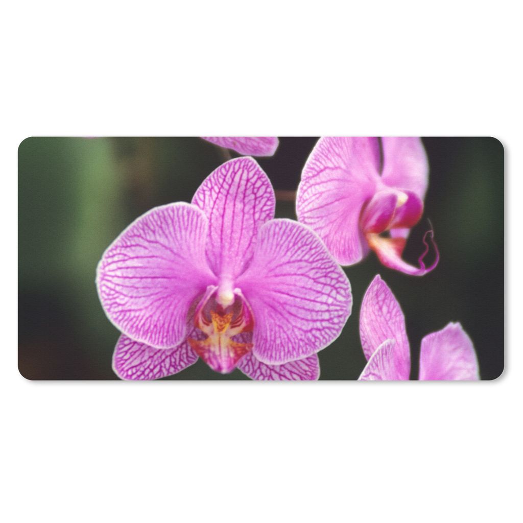 MuchoWow Schreibtischunterlage Rosa Orchidee 80x40 cm - XXL Mauspad - Gaming Mauspad