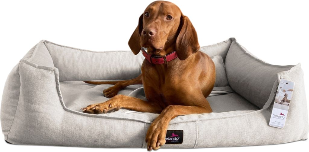 tierlando Orthopädisches Hundebett SCARLETT >> inkl. Matratzenschoner << - Größe: 160x110cm | Farbe: 05 Creme