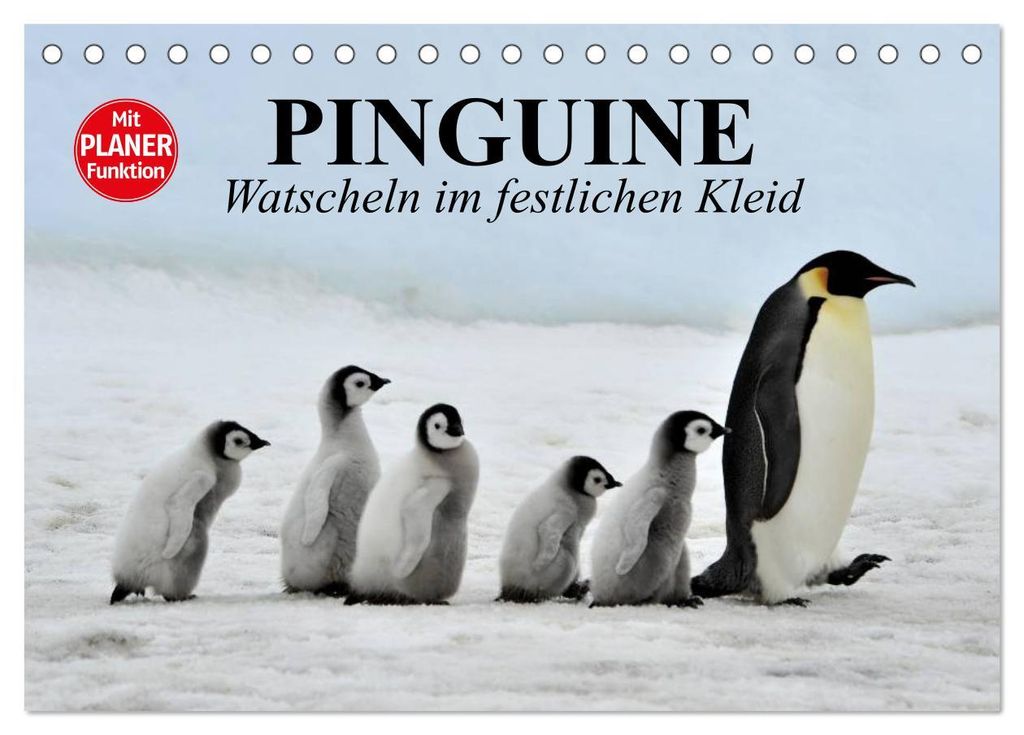 Pinguine - Watscheln im festlichen Kleid (Tischkalender 2027 DIN A5 quer), CALVENDO Monatskalender