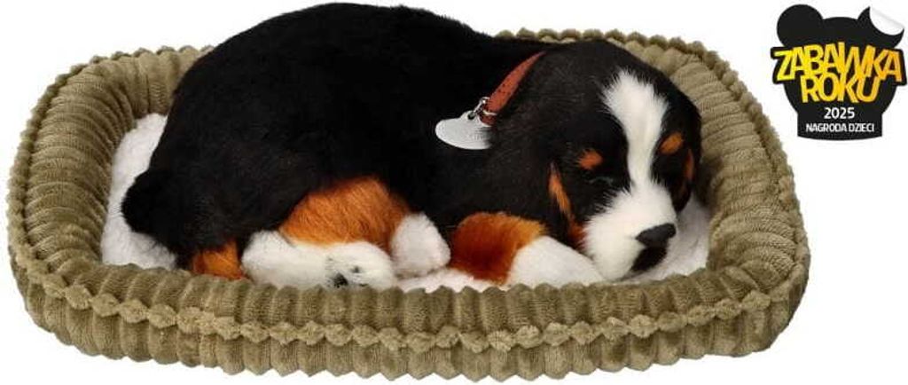 Perfect Petzzz 96644 Berner Sennenhund Produktbild 