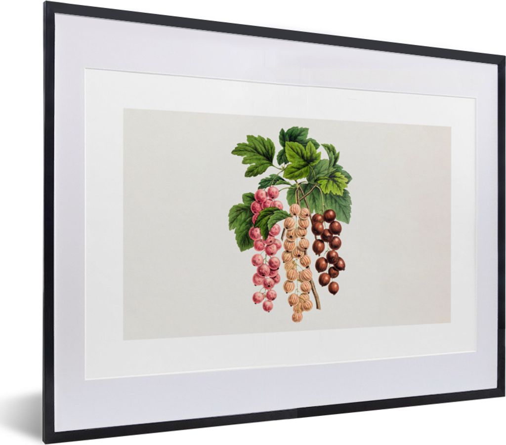 MuchoWow Gerahmtes Poster Lebensmittel - Beeren - Pflanze 40x30 cm - Poster mit Schwarzem Bilderrahmen Wandposter Rahmen Foto Bilder - Bilderrahm...