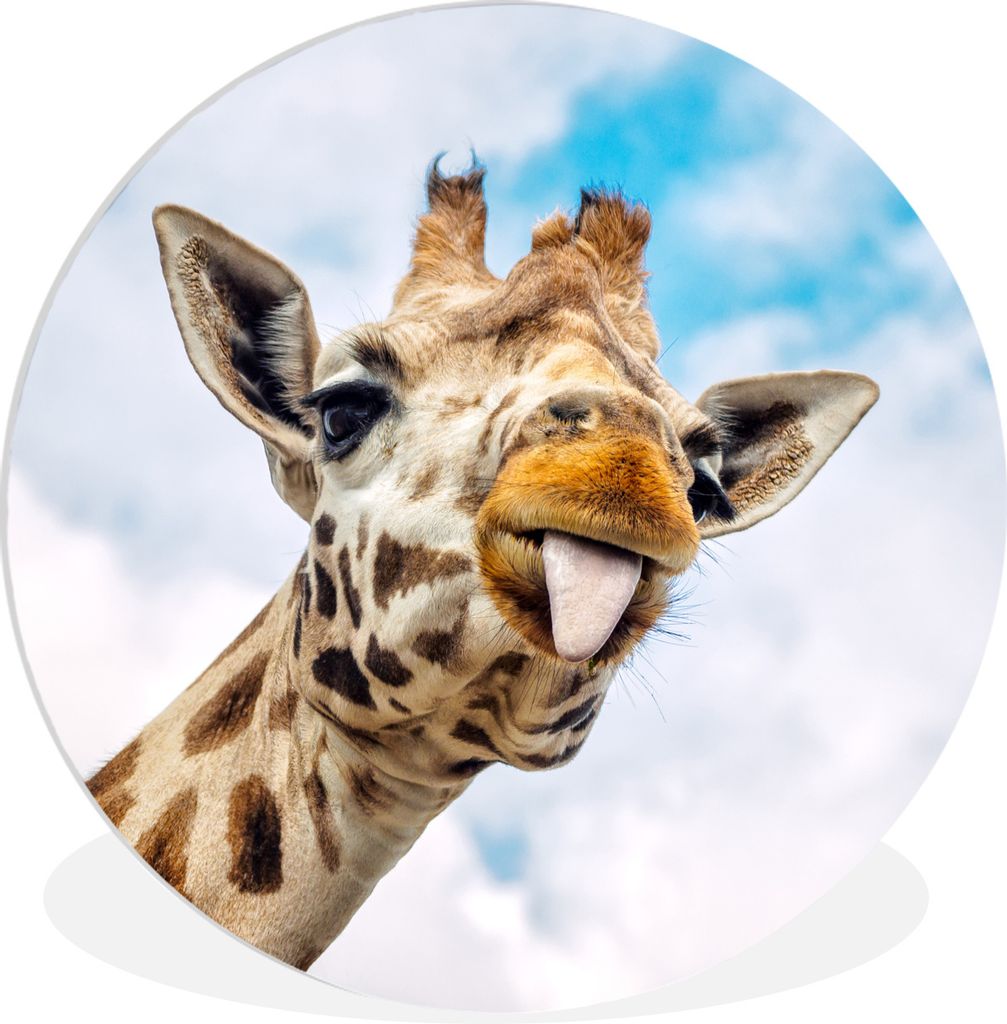 MuchoWow Rundes Wandbild - Runde Bilder Giraffe - Lustig - Zunge - Kinder - Jungen - Mädchen - Kind Ø 30 cm Kreis Wanddekoration Kunststoff - W...