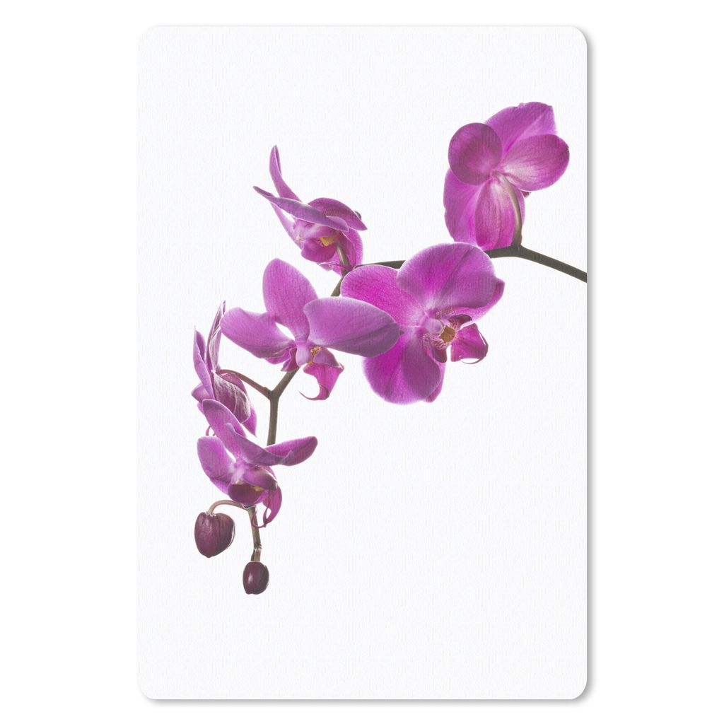 MuchoWow Mauspad Mousepad Orchidee vor weißem Hintergrund 40x60 cm - Mousepads - Maus Mat - Pad - Mausunterlage - Schreibtisch Accesoire