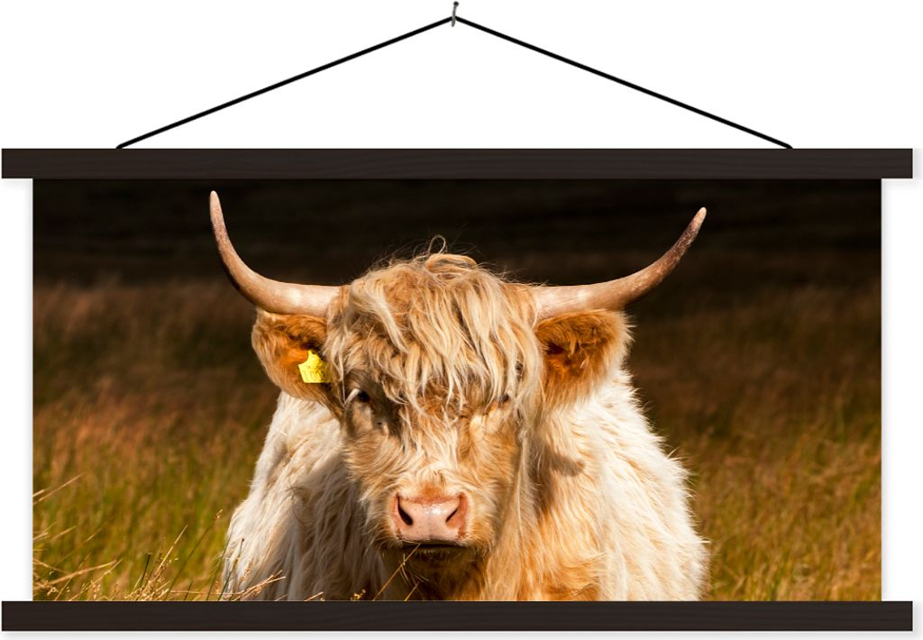 MuchoWow Textilposter Schottische Hochlandrind - Licht - Gras - Tiere 120x60 cm mit schwarzem Rahmen - Dekoration Schlafzimmer