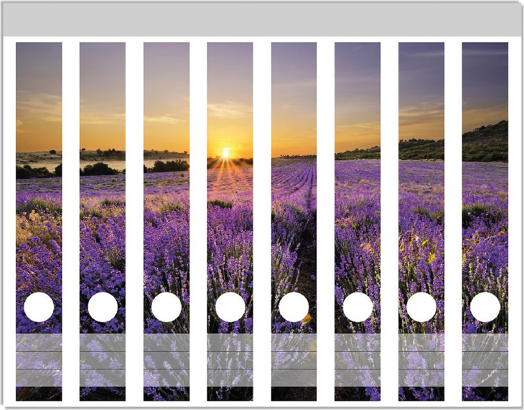 Wallario Ordnerrücken Sticker, selbstklebend für schmale Ordner, 8 Stück, Motiv Sonnenuntergang über dem Lavendel