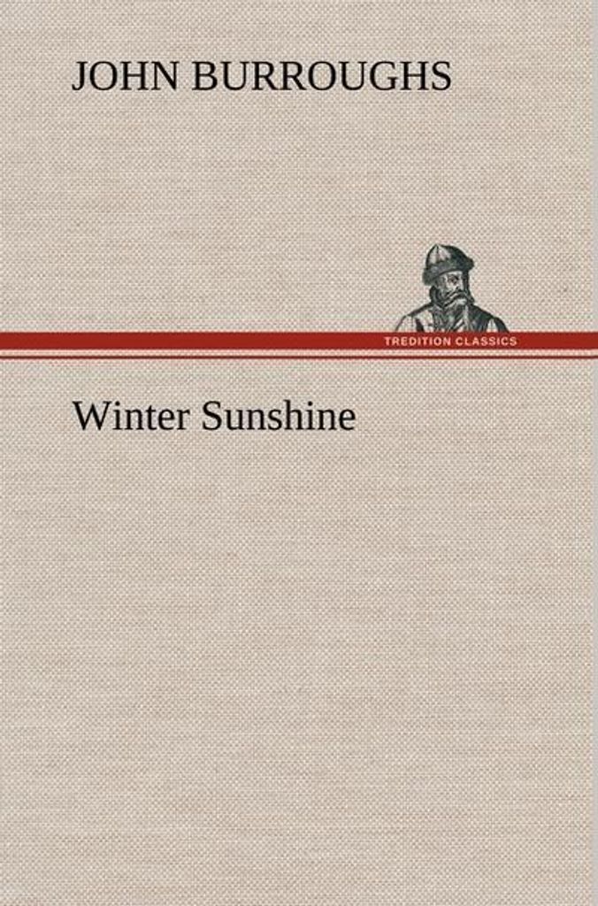 Wintersonnenschein