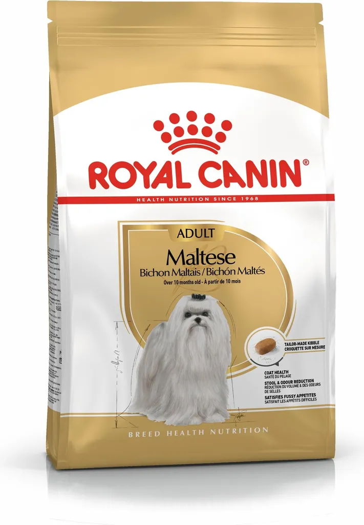Royal Canin Maltese 24 Adult 500g : Croquettes Spécifiques pour Bichon