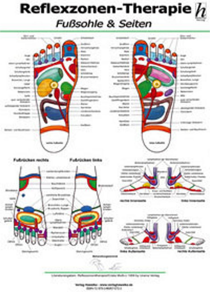 Reflexzonen-Therapie Poster - Fußsohle & Seiten DIN A2