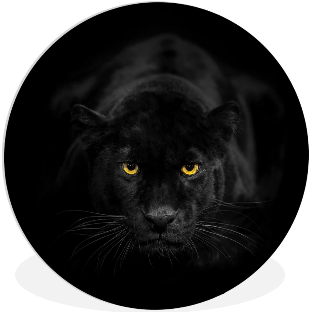 MuchoWow Rundes Wandbild - Runde Bilder Panther - Tiere - Schwarz - Augen Ø 90 cm Kreis Wanddekoration Kunststoff - Wandkreis - Wandschmuck - Wa...