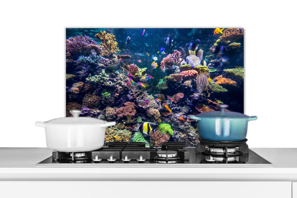 KitchenYeah Spritzschutz Küche - Küchenrückwand - Wandschutz für Herd und Spüle - Bunte Fische schwimmen zwischen all den Korallen 70x50 - A...