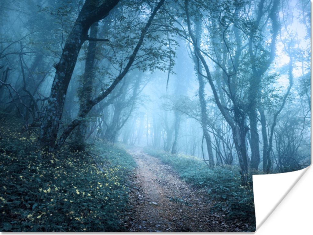 MuchoWow Poster Bäume - Natur - Nebel 160x120 cm - Foto Plakat