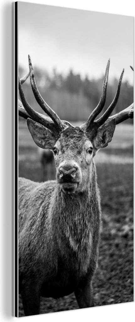 MuchoWow Wanddekoration Metall Metallbild Wandkunst 40x80 cm Tiere - Hirsch - Geweih - Schwarz und weiß - Natur MuchoWow Aluminium Gemälde - Wand...