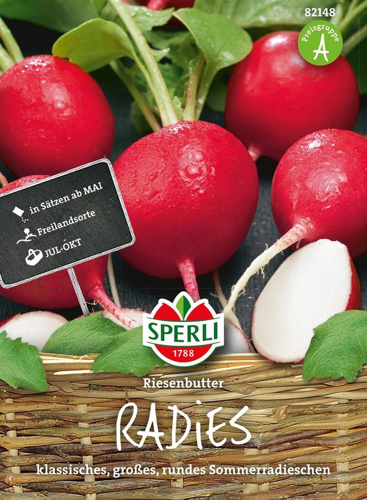 Radies ''Riesenbutter'' klassisches, großes, rundes Produktbild 