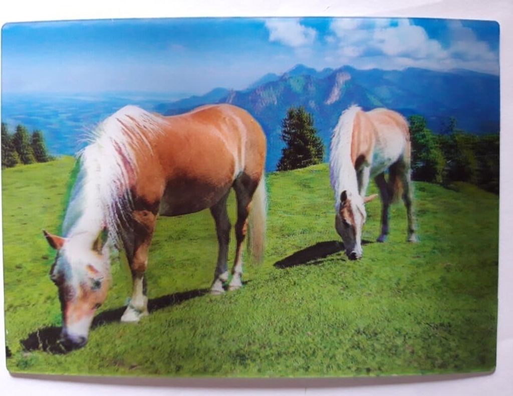 3 D Ansichtskarte Pferde, Postkarte Wackelkarte Produktbild 