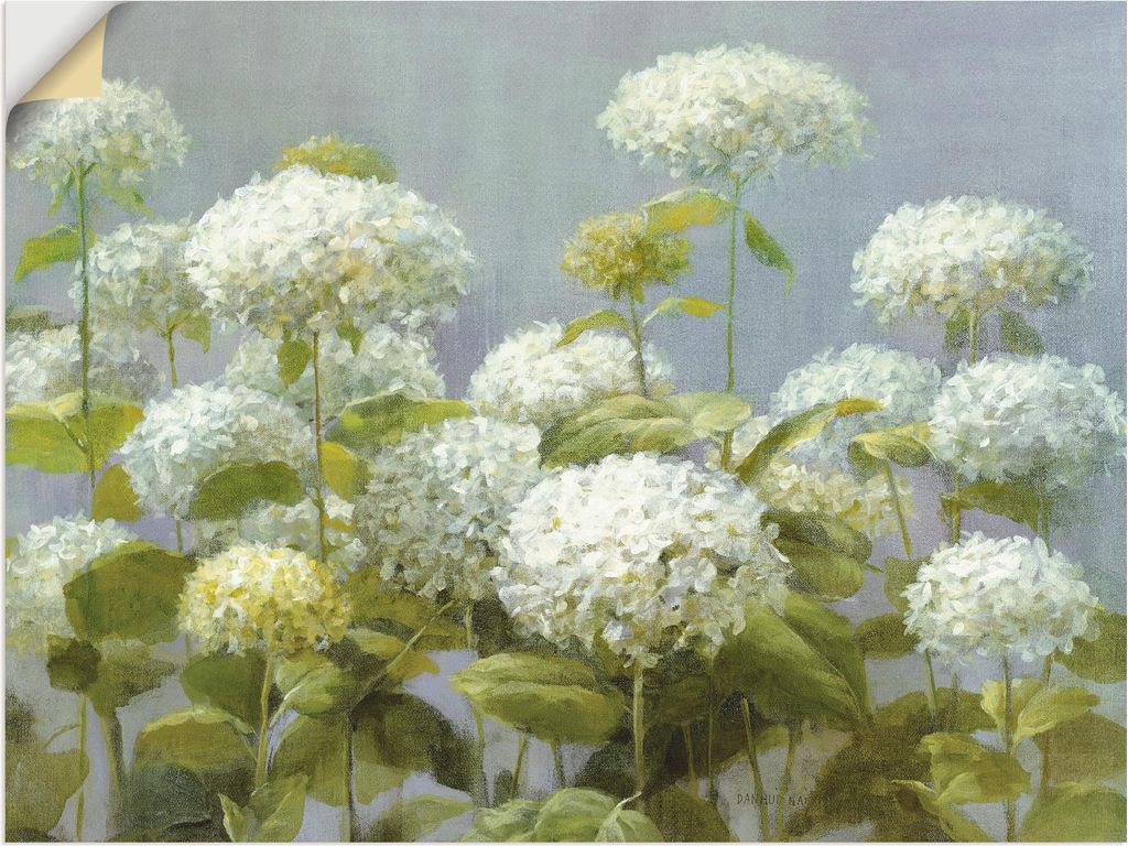 ARTland Wandbild, selbstklebend Weißer Hortensien Garten Größe: 120x90 cm