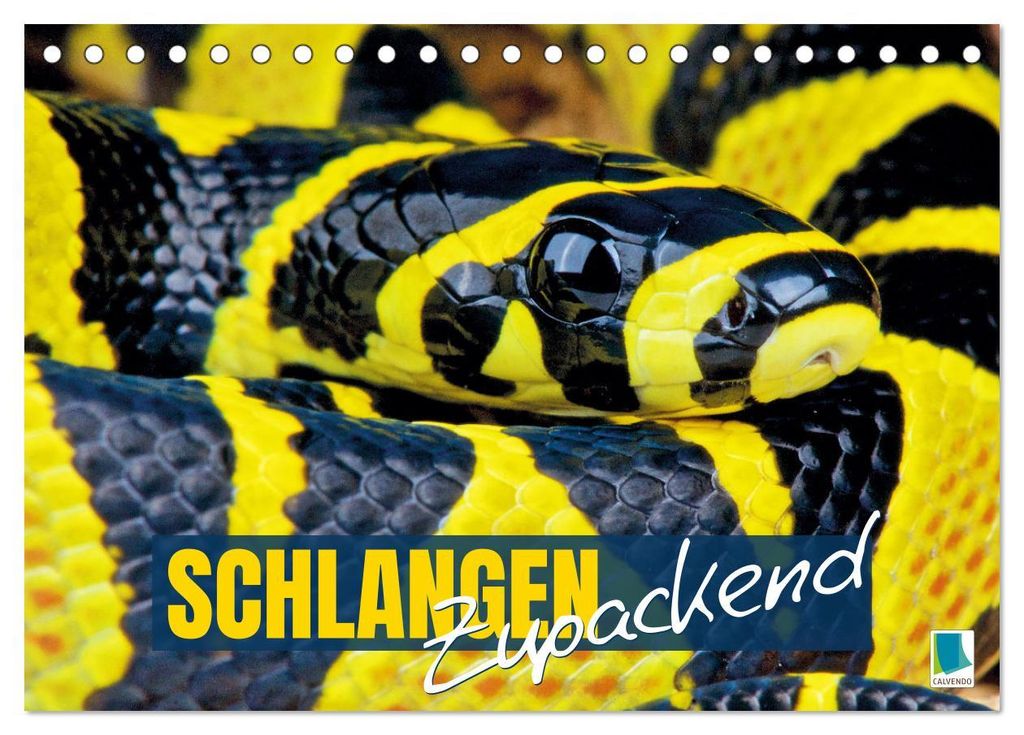 Schlangen: Zupackend (Tischkalender 2027 DIN A5 quer), CALVENDO Monatskalender