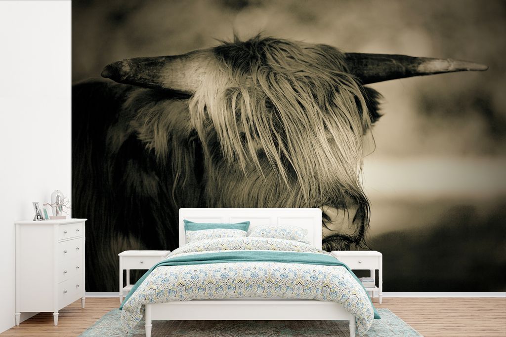 MuchoWow Fototapete für Wohnzimmer oder Schlafzimmer Wandtapete Vinyl Motivtapete Schottischer Highlander - Tiere - Haare - 420x280 cm - Zimmer ...