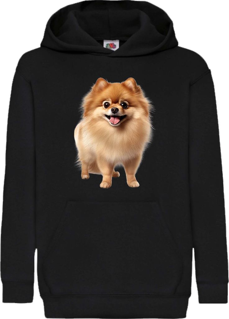 Kinder Kapuzenpullover Dogs Breeds Pomeranian Dog Breed 005, 12-13 Jahr - 152 / Schwarz