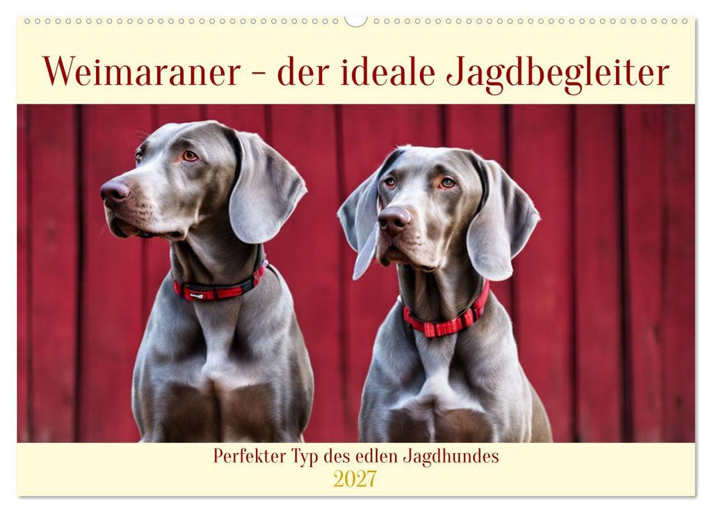 Weimaraner - der ideale Jagdbegleiter (Wandkalender 2027 DIN A2 quer), CALVENDO Monatskalender