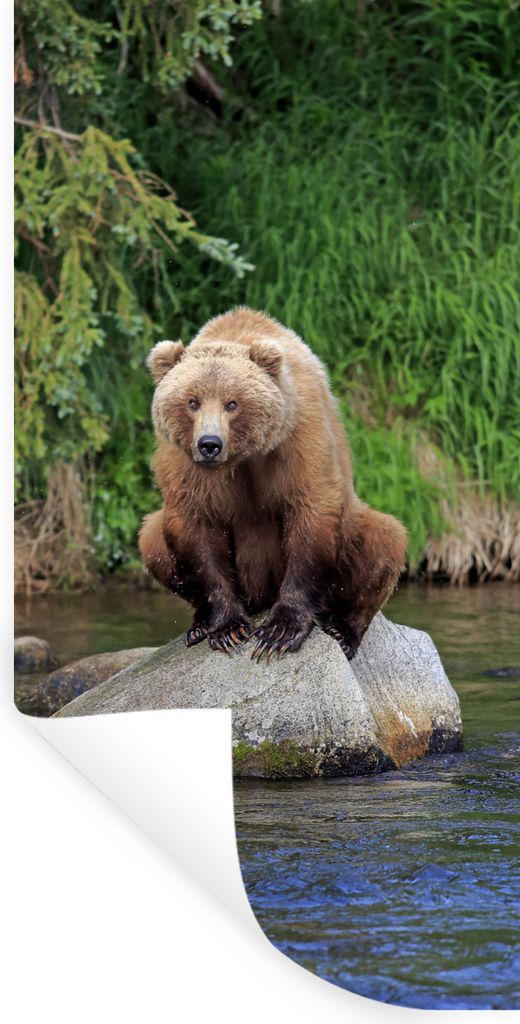 MuchoWow Wandtattoo Wandsticker Wandaufkleber Bär - Stein - Tier 60x120 cm Selbstklebend und Repositionierbar - Selbstklebend - Fototapeten