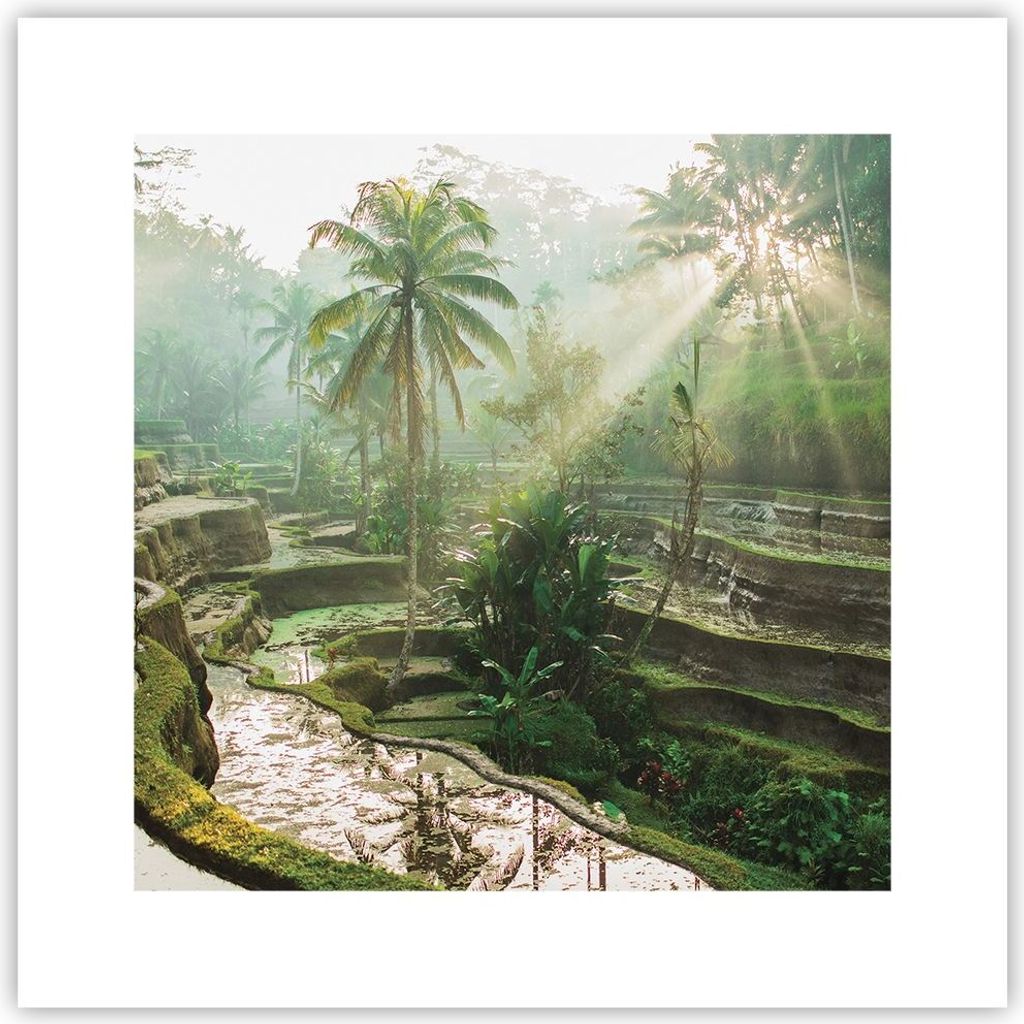 Poster - Poster ohne Rahmen - Terrassen Reis Palmen - 30x30 cm - Wand Bild - Wanddeko - Wandbilder - Kunstposter - Wandposter - Bilder - Kunstdruck...