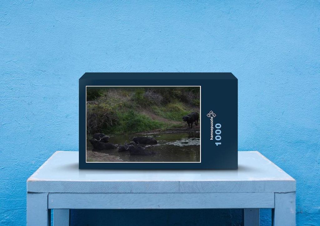 hansepuzzle 76537 - Büffel Puzzle, 1000 Teile, Tierwelt, 60,0 x 46,0cm mit hochwertiger Aufbewahrung, Kartonbox und wiederverschließbarem Beutel